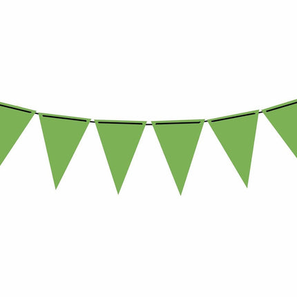Groene Slinger Papier 3m van Fiestas Guirca koop je bij Partywinkel