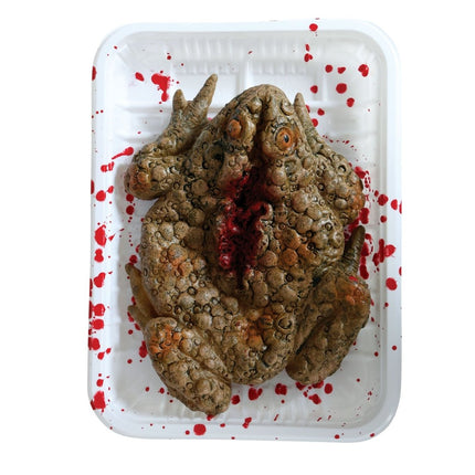 Halloween Dienblad Kikker 18cm - Partywinkel - 8434077268261