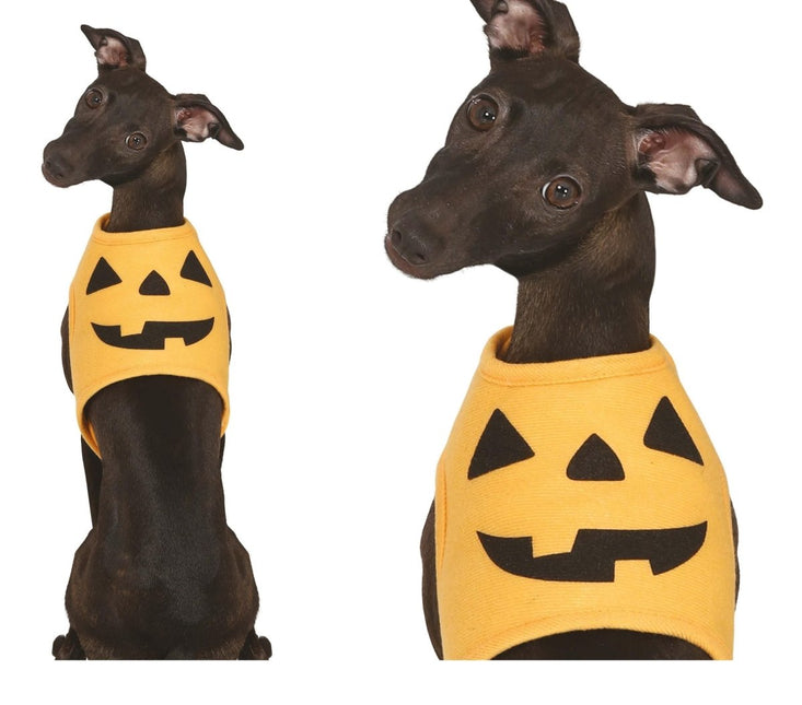 Halloween Dieren Kostuum Pompoen Mascotte van Fiestas Guirca koop je bij Partywinkel