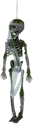 Halloween Hangdecoratie Skelet Met Mos 40cm van Fiestas Guirca koop je bij Partywinkel