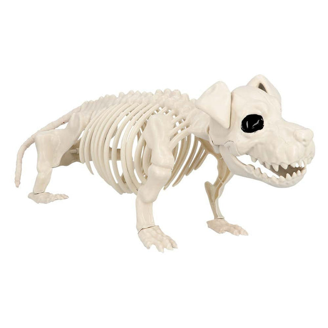 Halloween Hondenskelet 52cm van Boland koop je bij Partywinkel