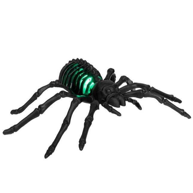 Halloween Led - Spinnenskelet Zwart 22cm van Boland koop je bij Partywinkel