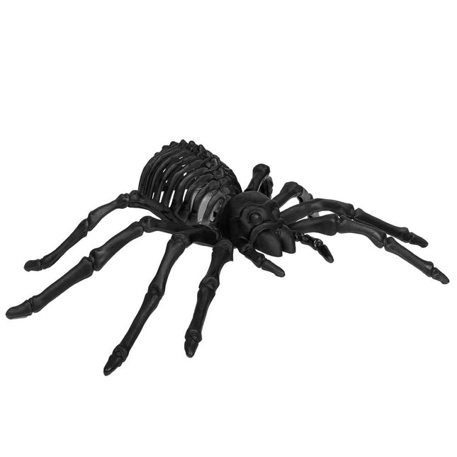 Halloween Led - Spinnenskelet Zwart 22cm van Boland koop je bij Partywinkel