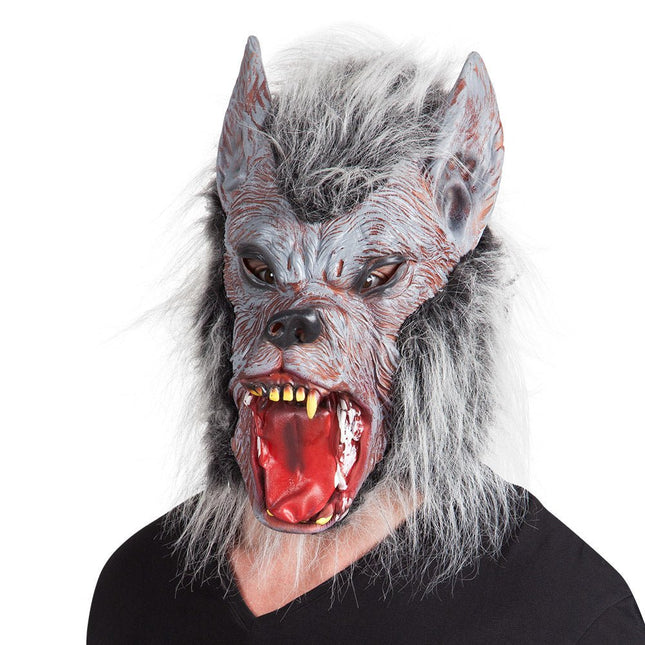 Halloween Masker Weerwolf van Boland koop je bij Partywinkel