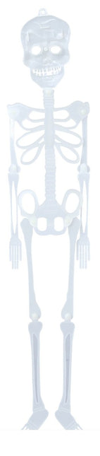 Halloween Pop Skelet Glow In The Dark 75cm van Fiestas Guirca koop je bij Partywinkel
