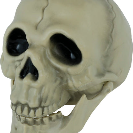 Halloween Schedel 13cm van Fiestas Guirca koop je bij Partywinkel