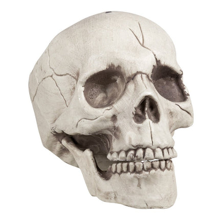 Halloween Schedel Beweegbare Kaak 21cm van Boland koop je bij Partywinkel
