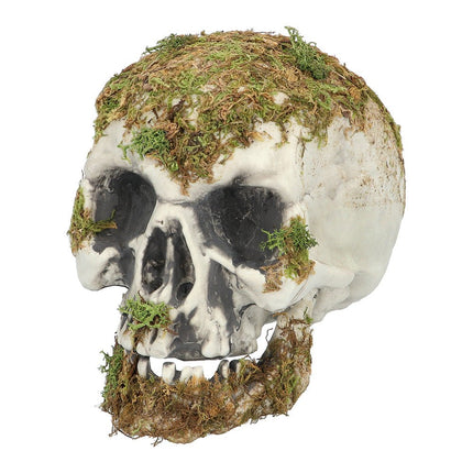 Halloween Schedel Mos 19cm van Boland koop je bij Partywinkel