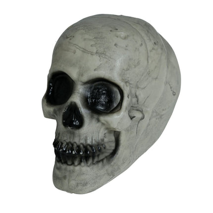 Halloween Schedel Wit 20cm - Partywinkel - 8434077249352