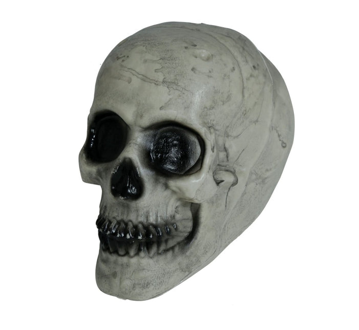Halloween Schedel Wit 20cm - Partywinkel - 8434077249352