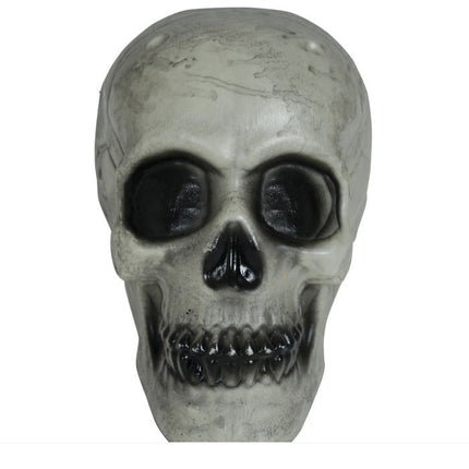 Halloween Schedel Wit 20cm - Partywinkel - 8434077249352