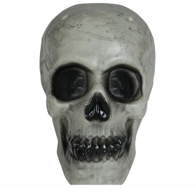Halloween Schedel Wit 20cm - Partywinkel - 8434077249352