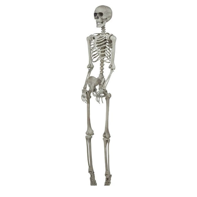 Halloween Skelet 1,6m van Fiestas Guirca koop je bij Partywinkel