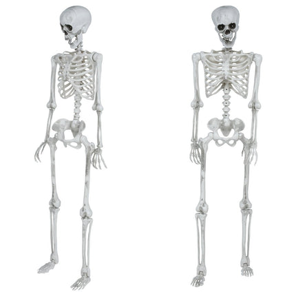 Halloween Skelet Beweegbaar 1,4m van Fiestas Guirca koop je bij Partywinkel
