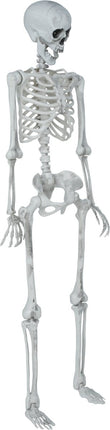 Halloween Skelet Beweegbaar 1,4m van Fiestas Guirca koop je bij Partywinkel