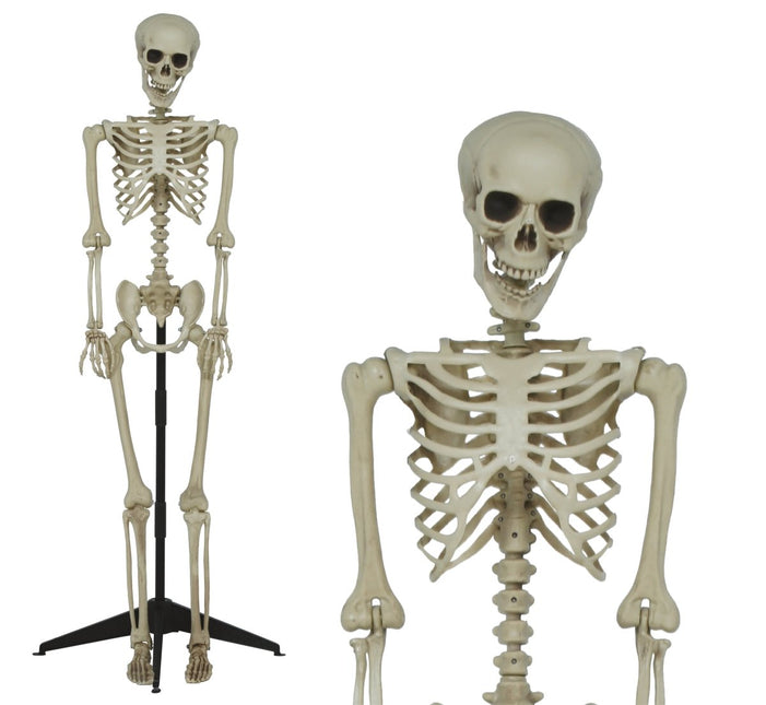 Halloween Skelet Op Standaard 1,55m van Fiestas Guirca koop je bij Partywinkel