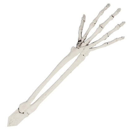 Halloween Skelet Schedel En Armen van Boland koop je bij Partywinkel