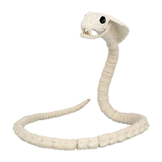 Halloween Slangenskelet 102cm van Boland koop je bij Partywinkel