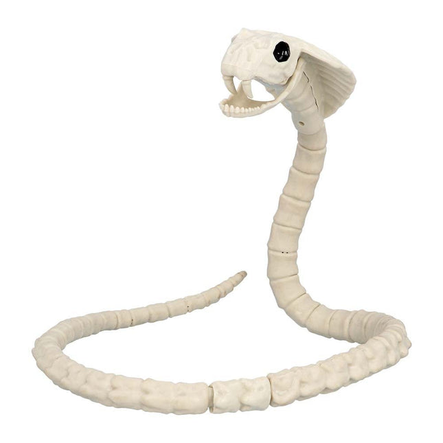 Halloween Slangenskelet 102cm van Boland koop je bij Partywinkel