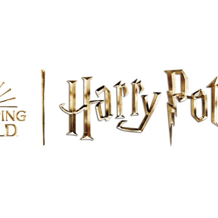 Harry Potter Mini Folieballonnen 23cm 5st van Unique koop je bij Partywinkel