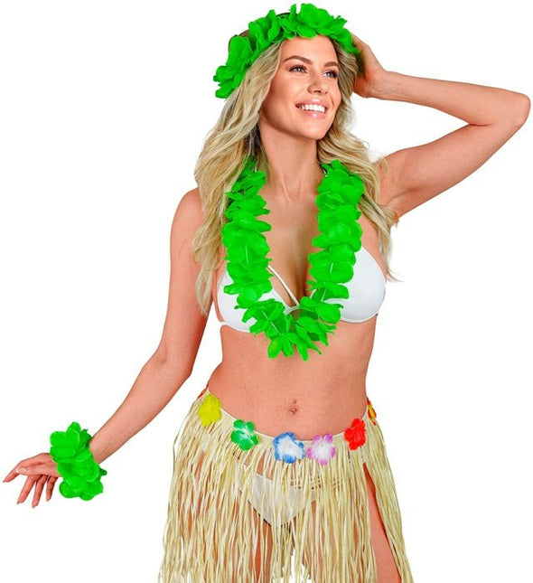 Hawaii Set Groen van Widmann koop je bij Partywinkel
