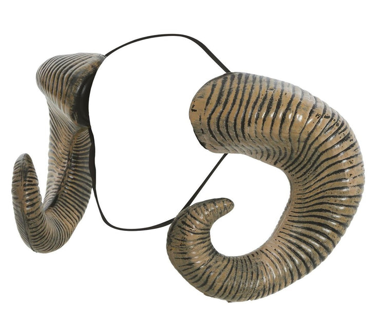 Hoorns van Fiestas Guirca koop je bij Partywinkel