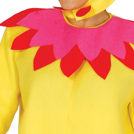 Kippenpak Dames van Fiestas Guirca koop je bij Partywinkel