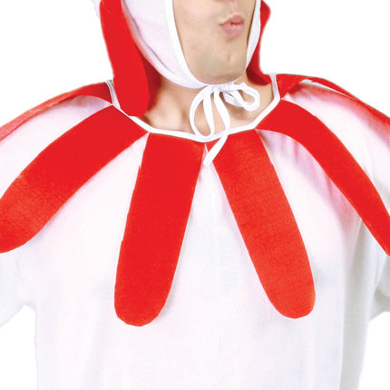 Kippenpak Wit van Fiestas Guirca koop je bij Partywinkel