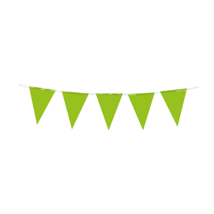 Lichtgroene Slinger Mini 3m - Partywinkel - 8716764246210