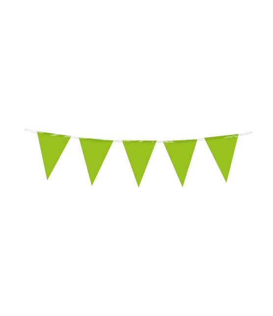 Lichtgroene Slinger Mini 3m - Partywinkel - 8716764246210
