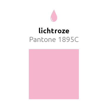 Lichtroze Ballonnen 25cm 10st - Partywinkel - 8436540892362