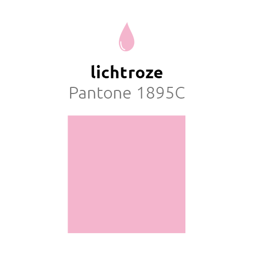 Lichtroze Ballonnen 30cm 10st - Partywinkel - 8436540889768