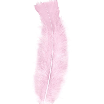 Lichtroze Veren 50st van Widmann koop je bij Partywinkel