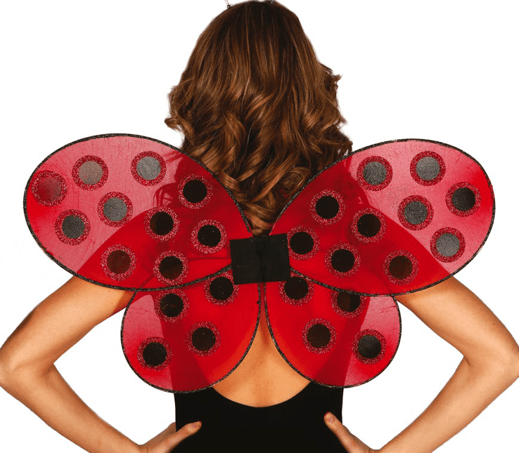 Lieveheersbeestje Vleugels 52cm van Fiestas Guirca koop je bij Partywinkel