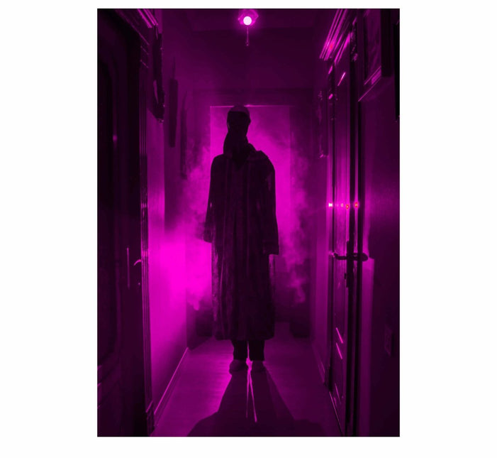 Lila Ledlamp 5W van Fiestas Guirca koop je bij Partywinkel