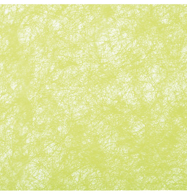 Limettengrünes Band 10m
