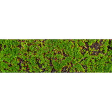Grünes Band Moos 10Cm 1m