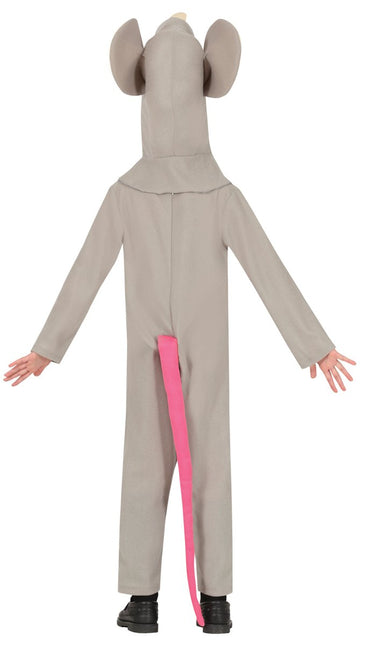 Muis Kostuum Kind 2 delig - Partywinkel - 8434077784532