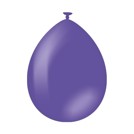 Paars Ballonnen Latex 30cm 10st - Partywinkel - 8716764242281