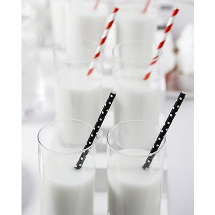 Papieren Rietjes Zwart Stippen 19,5cm 10st van Partydeco koop je bij Partywinkel