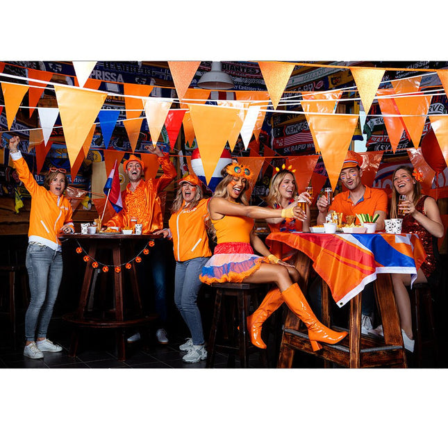 Pet Nederland van Boland koop je bij Partywinkel