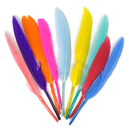 Bunte Federn (100 Stck.)