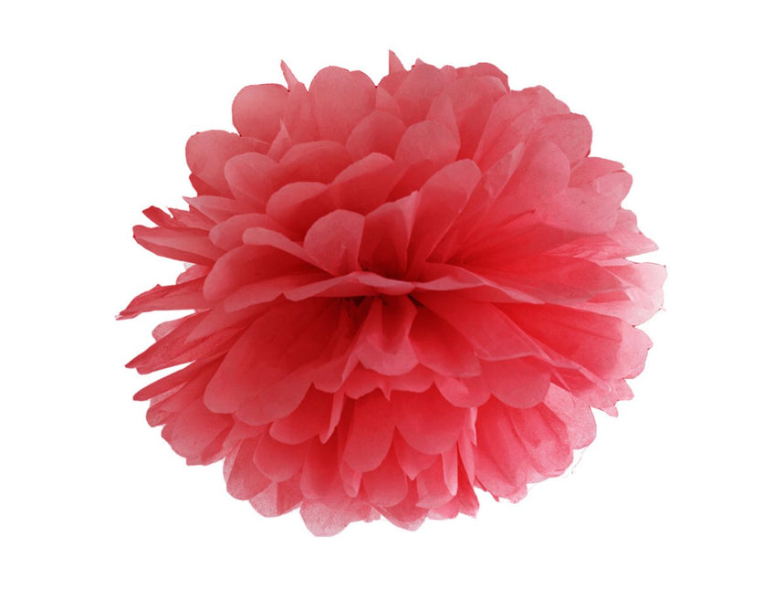 Pompon Rood 25cm van Partydeco koop je bij Partywinkel