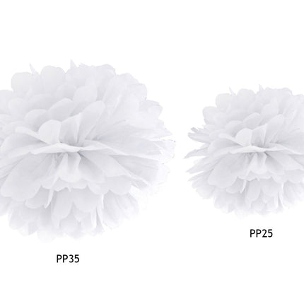 Pompon Wit 25cm van Partydeco koop je bij Partywinkel