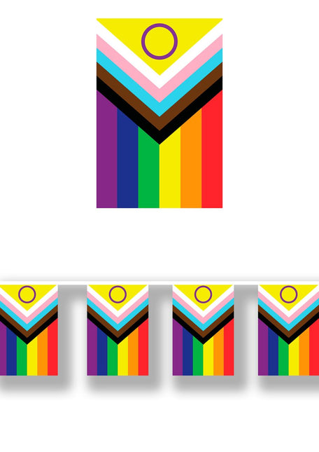 Regenboog Slinger 2,5m - Partywinkel - 8434077312063