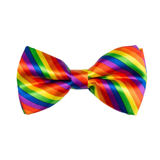 Regenboog Strik van Boland koop je bij Partywinkel