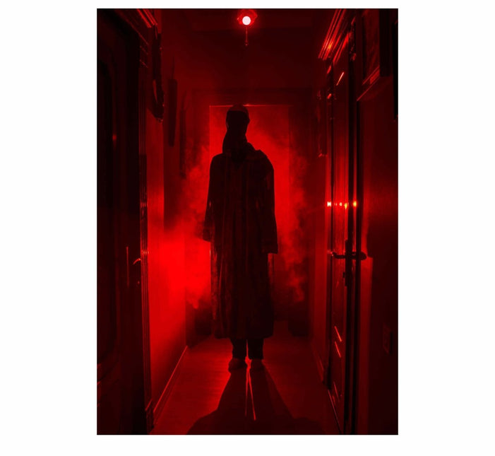 Rood Ledlamp 5W van Fiestas Guirca koop je bij Partywinkel