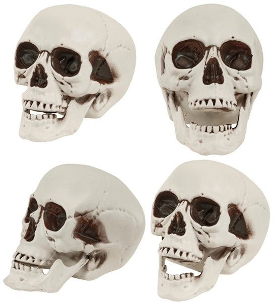 SCHEDEL MET BEWEEGBARE KAAK 18 CM van Widmann koop je bij Partywinkel