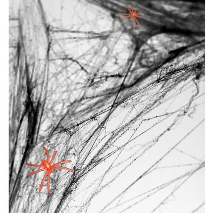 Spinnenweb Zwart met 2 Spinnen 60gr van Partydeco koop je bij Partywinkel