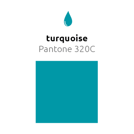 Turquoise Ballonnen 30cm 10st - Partywinkel - 8436540889850
